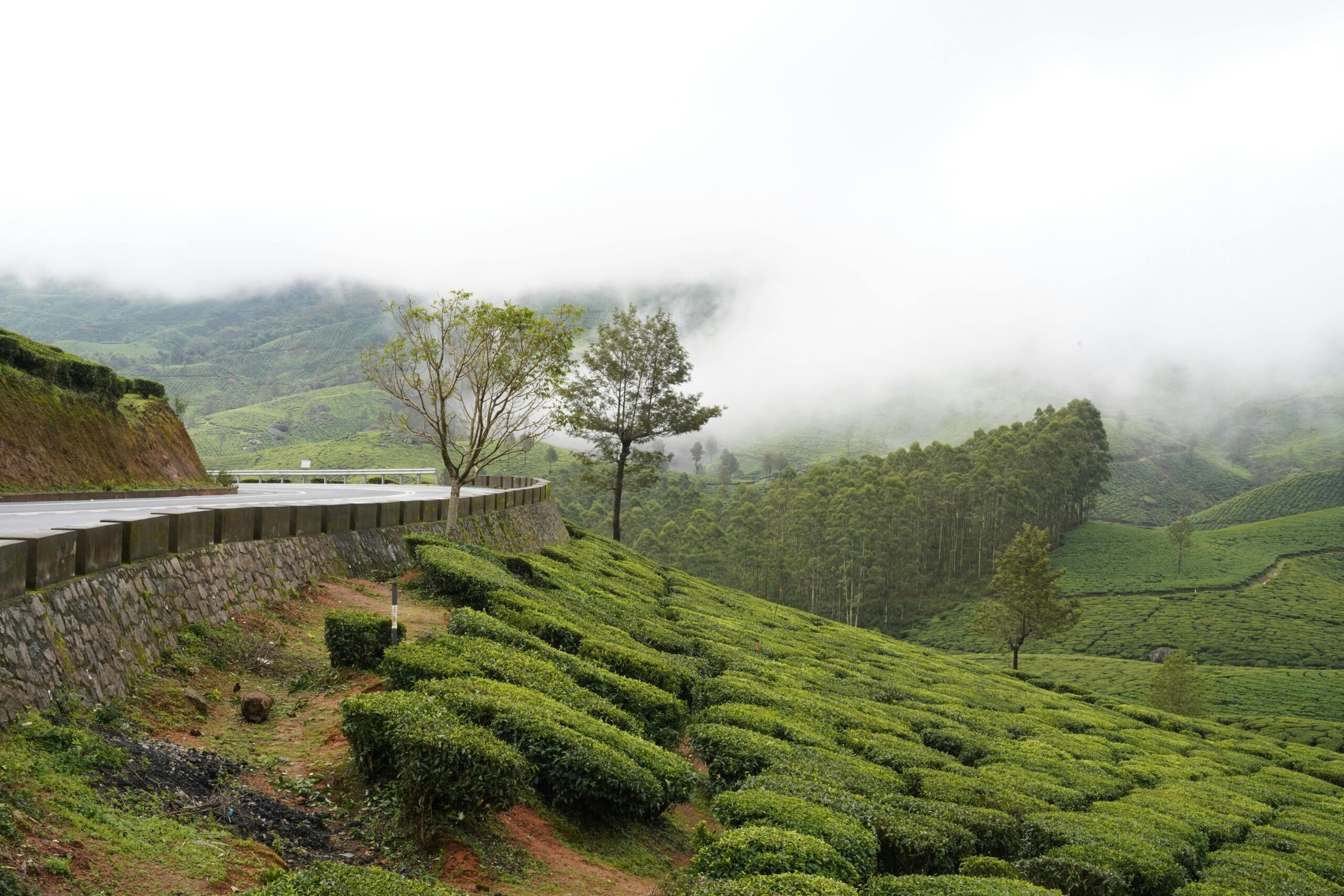 Munnar